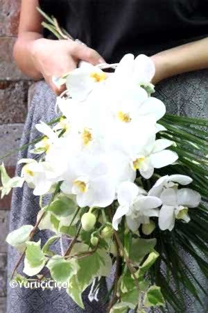 Beyaz Orkideler Gelin Buketi