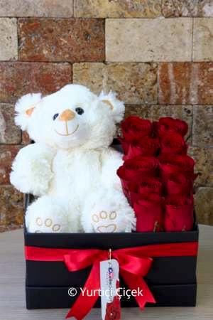 Kutuda 10 Gül ve Ayıcık