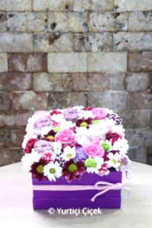 Kutu Dolusu Sürpriz