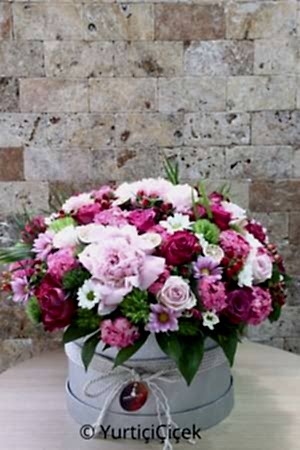 Kutuda Özel Tasarım Serisi 4