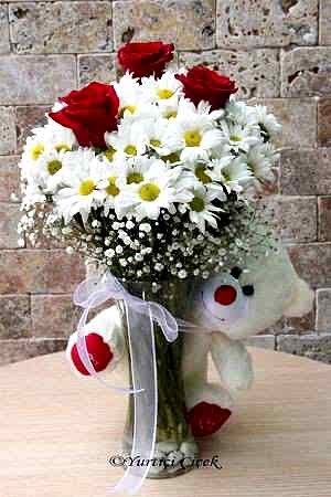 Papatya Gül ve Oyuncak