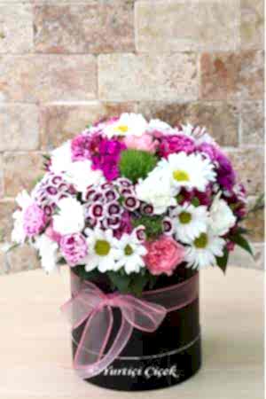 Kutu Kır Çiçekleri