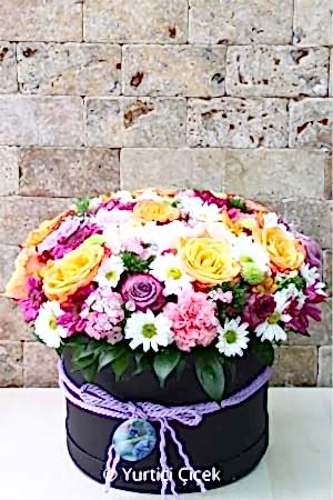 Kutuda Özel Tasarım Serisi 3