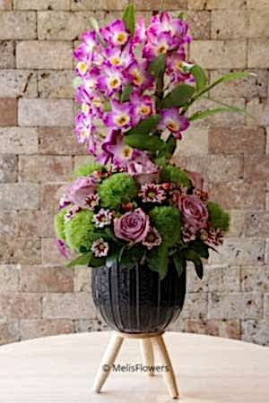 Dendrobium Kokulu Orkide 2