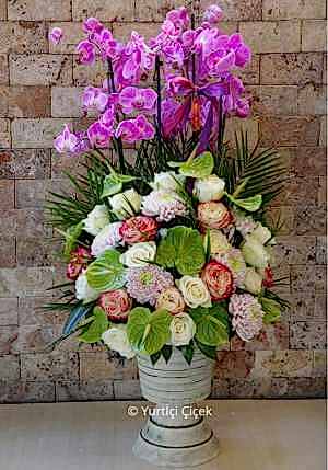 Orkide Aranjmanı Serisi 2
