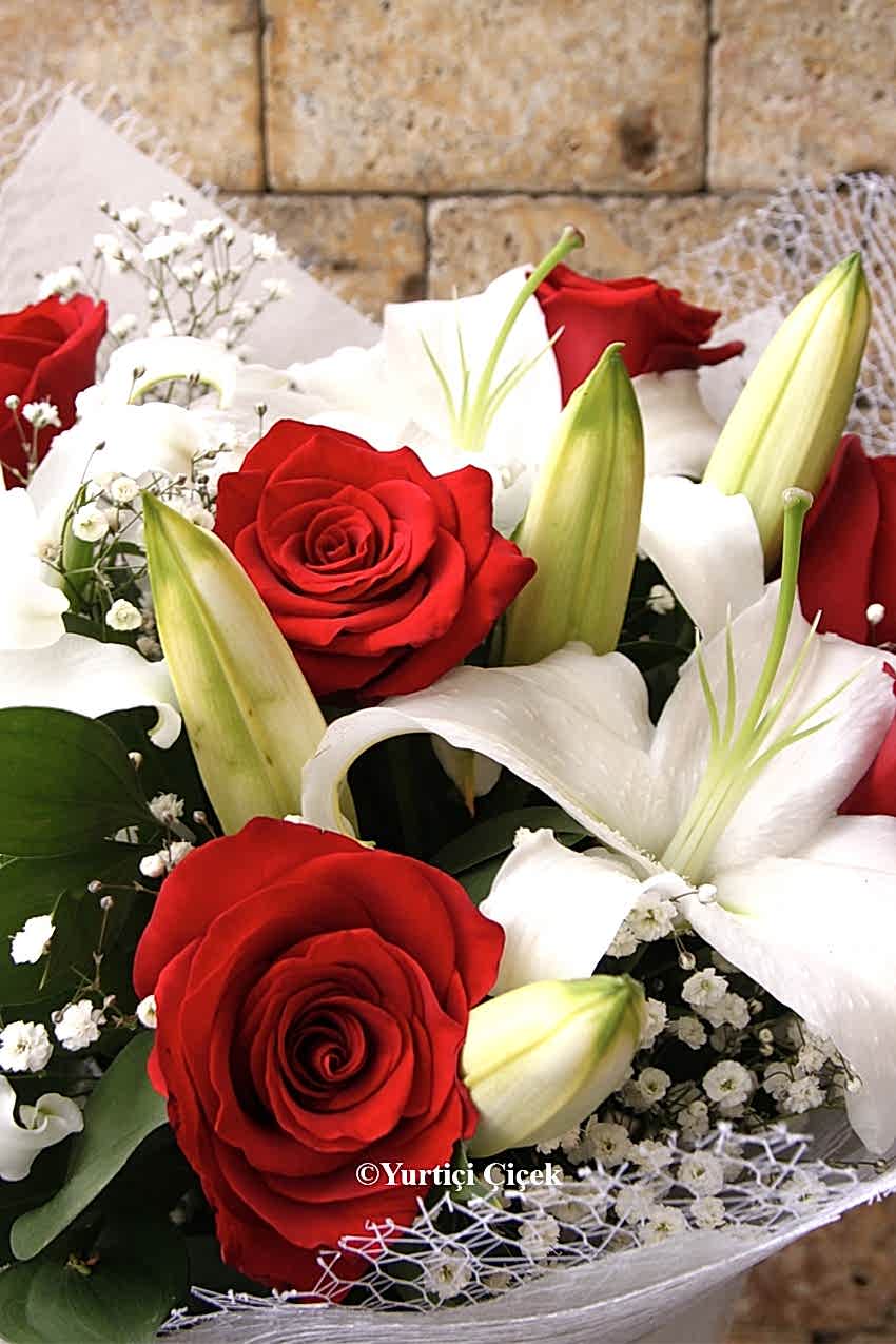 Lilyum Buket Serisi 5