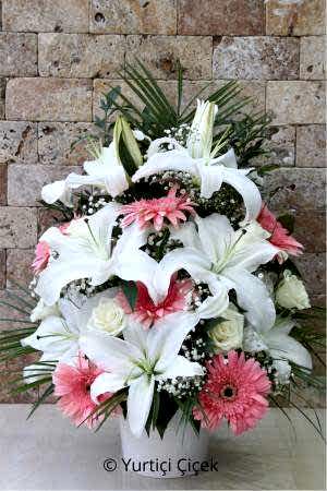 Lilyum Aranjman Serisi 1