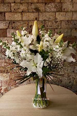 Vazoda Lilyum Serisi 3