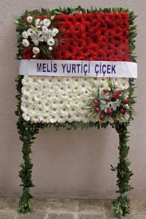 Pano Çelengi Serisi 1