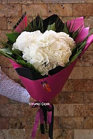 Ortanca Buket Serisi 4