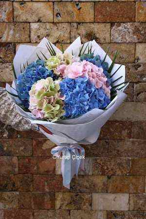 Ortanca Buket Serisi 8