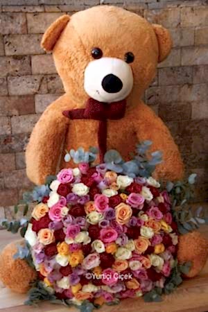 Ayıcık ve Renkli Güller