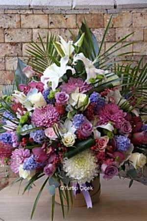 Büyük Kutu Serisi 2