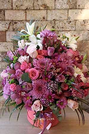 Büyük Kutu Serisi 3