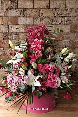 Büyük Kutu Serisi 8