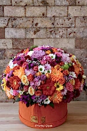 Kutuda Özel Tasarım Serisi 2