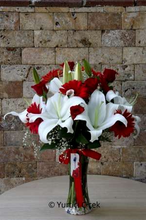 Vazoda Lilyum Serisi 4