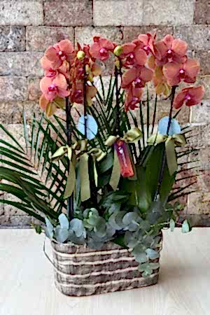 Canım Sevgilim Serisi 32