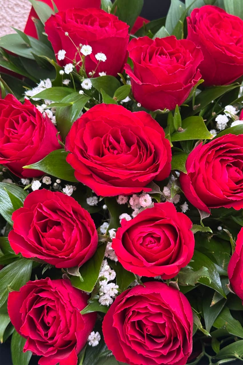 Sen Başkasın 15 Gül