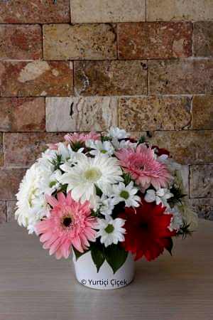 Seramikte Gerberalar